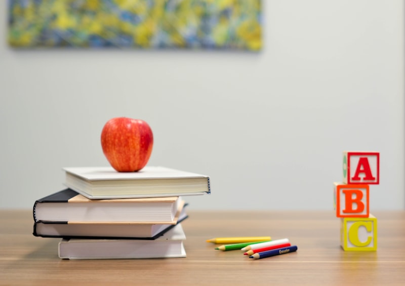 Montessori yaklaşımı ile öğrenme